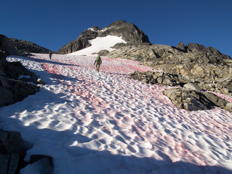 Going up Le Conte Mountain