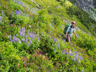 We briefly dipped into the West Fork Agnes Creek valley before ascending to the Dana Glacier.