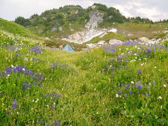 Camp in the Hanging Gardens.