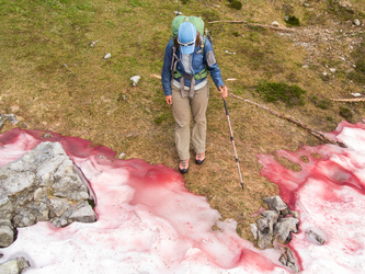 The most vivid watermelon algae ever.