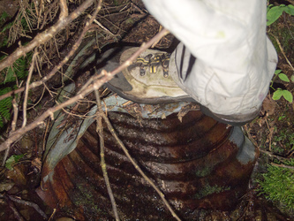 I was very happy to see this culvert since it meant that we had finally found the road.