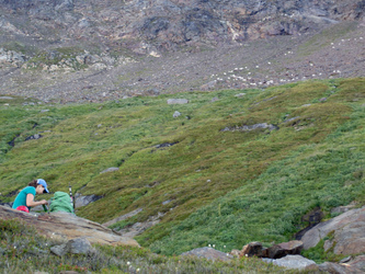 A herd of over 50 mountain goats hung out in the upper basin.