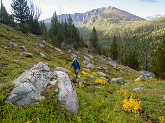 Ascending Wolframite Mtn's west slopes