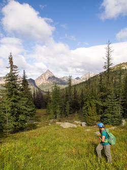 Cathedral Peak from near Apex Pass