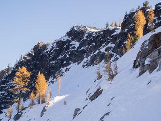 Icicle Ridge