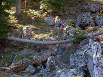 Tightrope log crossing