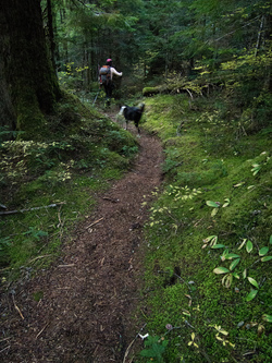 Hiking into the night.