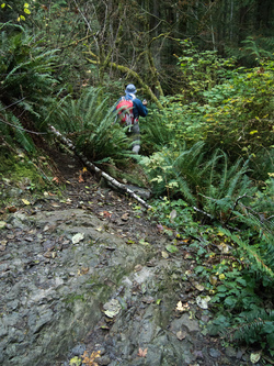 Leaving the Little Si Trail.