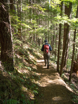 Hiking down via the Old Si Trail.