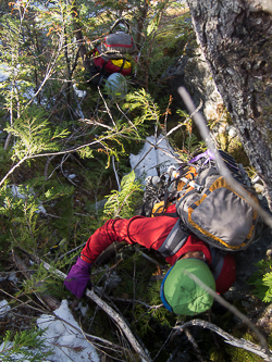 The crux of the trip was this steep, cedar-choked gully followed by an unpleasant, duff slab.