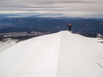 At 8,480' on Cooper Spur.