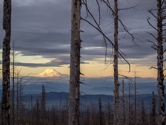 Mount Adams