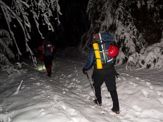 Walking up the Olney Creek Road an hour before sunrise.