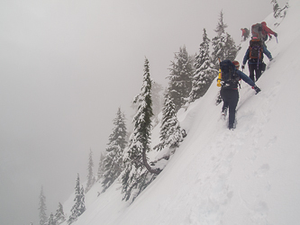 On the east side of Beaver's north ridge.