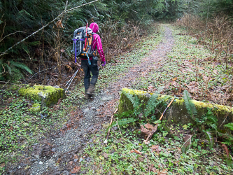 Heading up the Squire Creek Road/Trail.