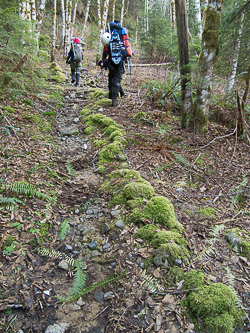 Squire Creek Trail