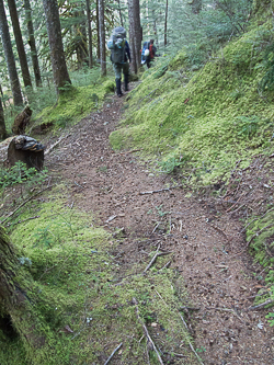 Squire Creek Trail