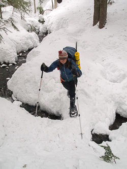 Crossing Talypus Creek