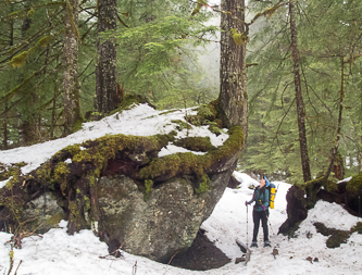 Nurse boulder on the Barclay Lake trail.