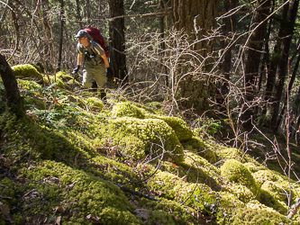 After crossing Ruby Creek, we headed NE up the slope.