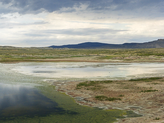 Little Sage Creek Dam in the Great Divide Basin.