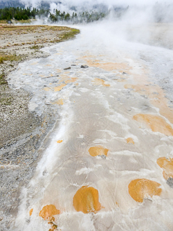 Yellowstone