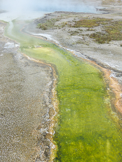 Yellowstone