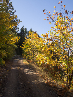 Heading up Forest Service Road 7402.