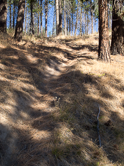 Dirt bike "trail" leading up the mountain.