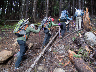 Leaving the "trailhead" on the Hansen Creek Road where it meets Humpback's NW ridge.