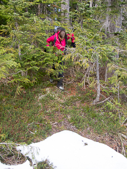 The first snow -- at 4,300' in February!