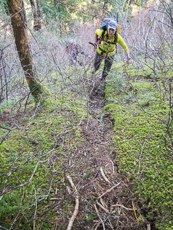 Above the quarry the footpath became more distinct.