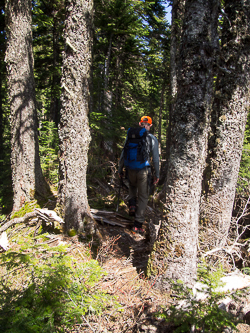 Ascending the SW ridge of Low Mtn.