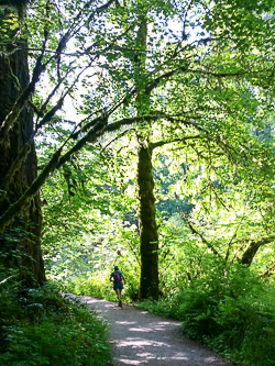 Running up the Eagle Creek Trail.