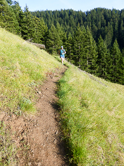 Descending the Ruckel Creek Trail.