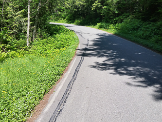 Running up the road to the Fire Training Center.