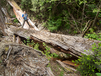 The washed out bridge on the Quartz Creek Road.