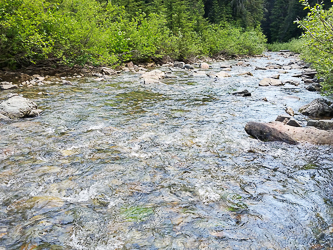 Fording Gold Creek.