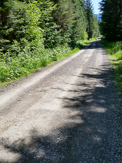 There was just a bit of road to run before the trailhead.
