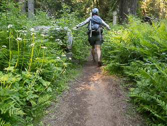 Back on the Rachel Lake Trail.