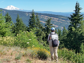 Mount Adams from the summit of Nestor Peak.