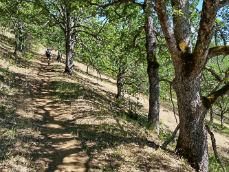 On the Weldon Wagon Trail.