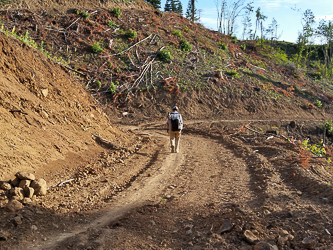 On a road in the upper part of the Hospital Hill road/trail complex.