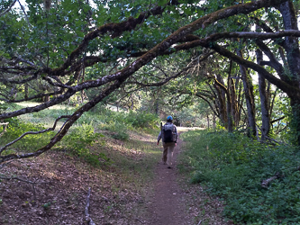 Near the bottom of Hospital Hill.