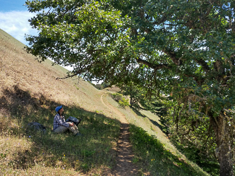 On the south slope of Burdoin Mountain.