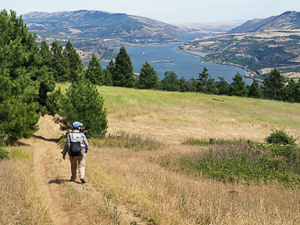 Looking out at the Columbia River from the Coyote Wall area.