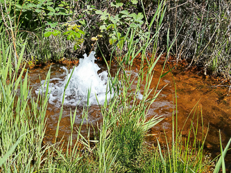 A mineral spring near the ice plant.