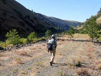 Swale Canyon