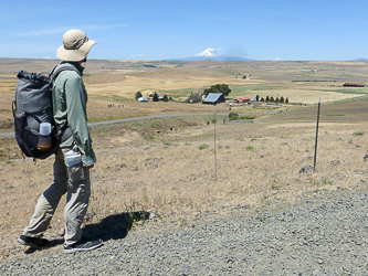 Mount Adams from Dalles Mountain Road.