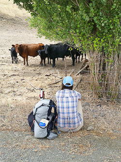 Resting in the shade by Moody Road.